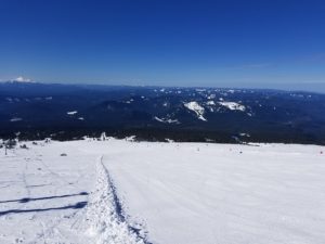 Spring Bluebird Day at Timberline Mt Hood