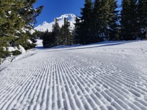 Timberline Corduroy